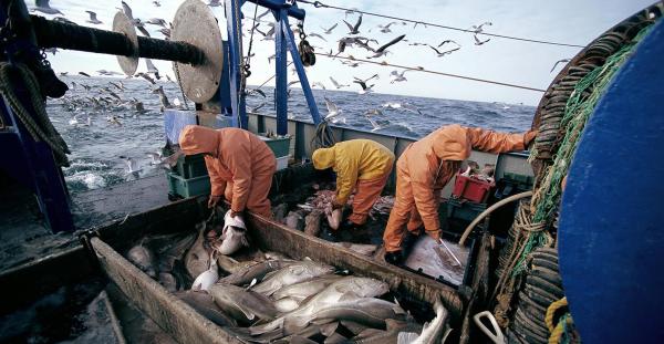 وزير الفلاحة يرد على الغموض الذي يلف مآل اتفاقية الصيد البحري مع الاتحاد الأوروبي